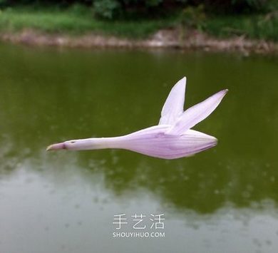 楼雨晴小说