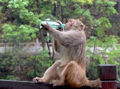 乘风少年吴峥免费阅读