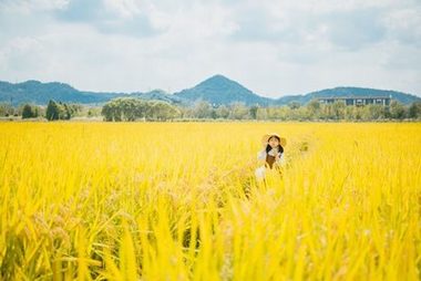 热血热土动漫站