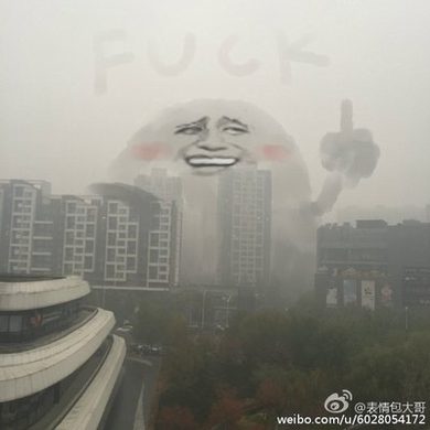 陈天阳苏沐雨小说全文免费阅读