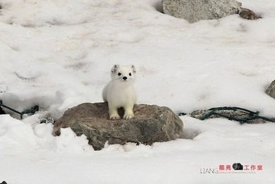 乐文小说阅读网